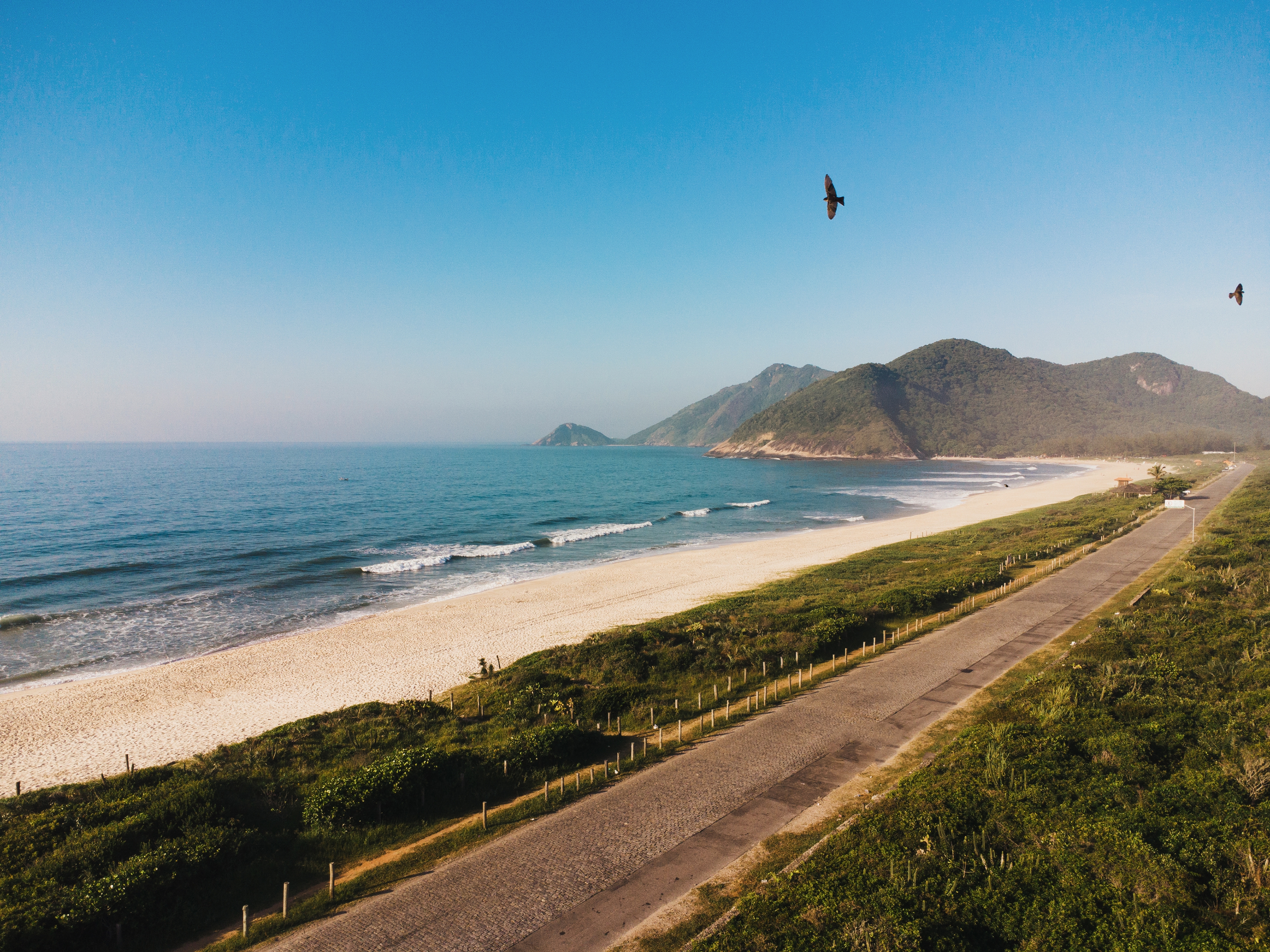 A road runs between two bands of low vegetation. To the left of the road is a sandy beach and the ocean, with gentle waves lapping the sand. Two birds fly above the road. Forested mountains are visible at the end of the beach.